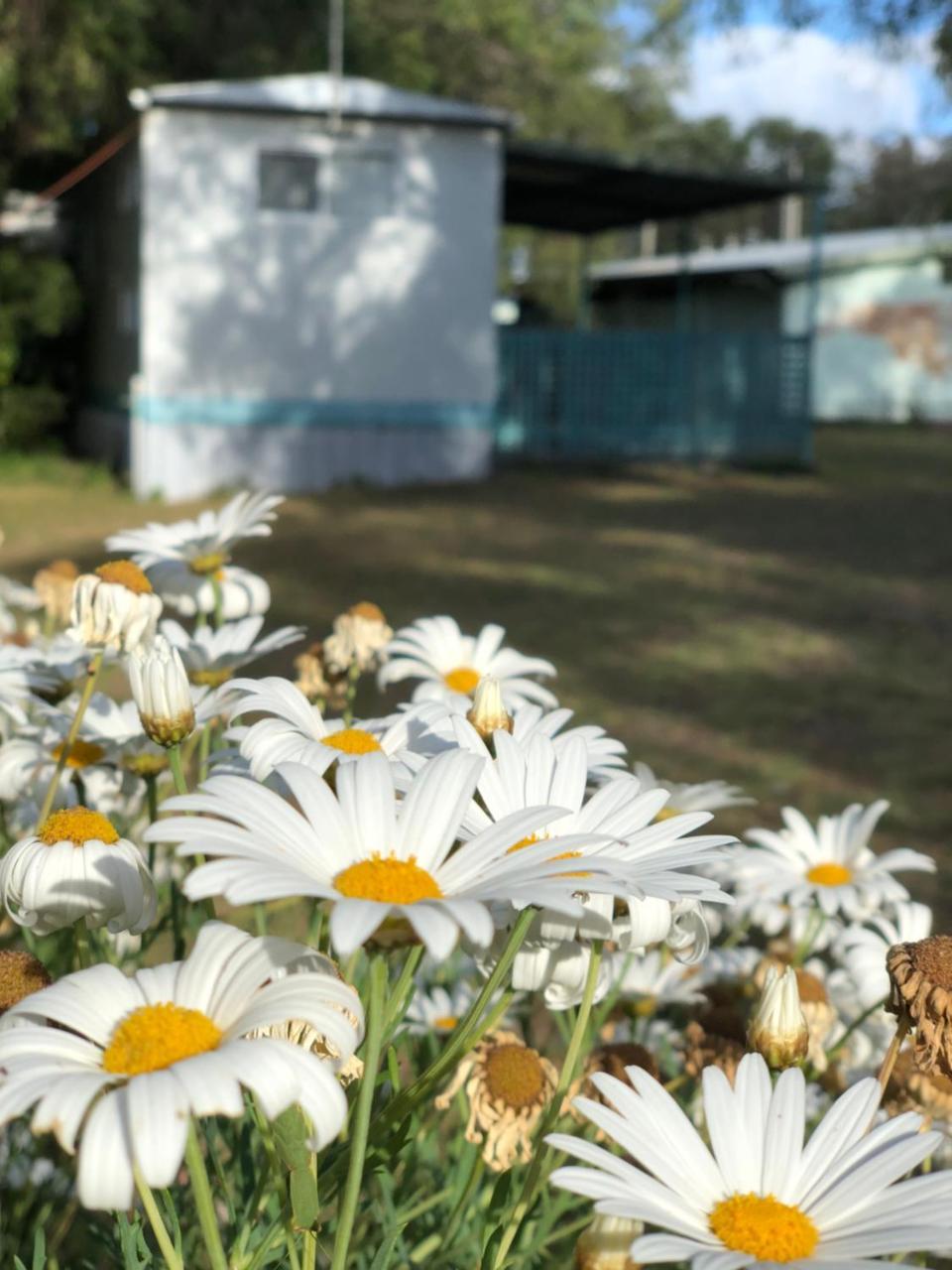 Lazy Days Caravan Park Vasse Exterior photo